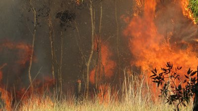 NASA зафіксувало аномально велику кількість пожеж на півдні вздовж лінії фронту — ISW