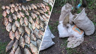Збитки на понад 340 тисяч гривень: на Черкащині за незаконний вилов риби затримали двох чоловіків