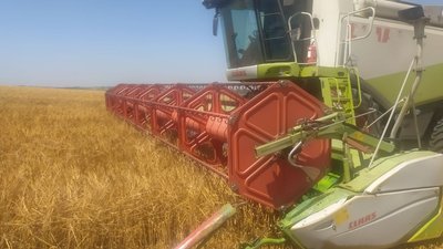На Волині розпочалися жнива: молотять озимий ячмінь На Волині розпочалися жнива: молотять озимий ячмінь