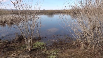 На Черкащині очікують пік підтоплення у першій декаді квітня На Черкащині очікують пік підтоплення у першій декаді квітня