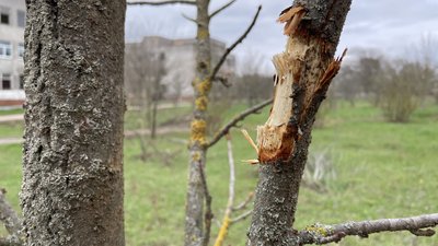 Без ліків та під загрозою примусового вивезення: як вижила в окупації Степанівська психлікарня на Херсонщині Без ліків та під загрозою примусового вивезення: як вижила в окупації Степанівська психлікарня на Херсонщині