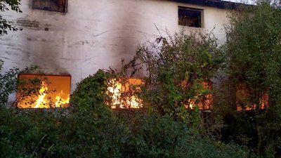 40 тонн соломи та 20 тонн листя тютюну згоріли під час пожежі у селі на Закарпатті
