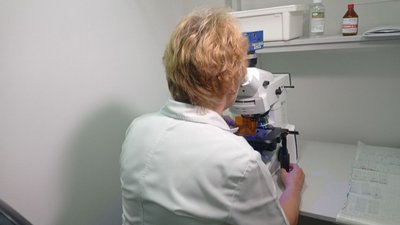 На Дніпропетровщині виявили сказ у кота, який покусала чотирьох людей На Дніпропетровщині виявили сказ у кота, який покусала чотирьох людей