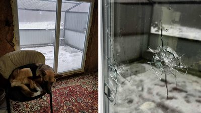 У Камʼянці обстріляли притулок для тварин