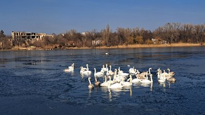 Погода у Донецькій області 20 лютого