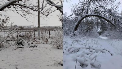 Перший сніг на Одещині Перший сніг на Одещині