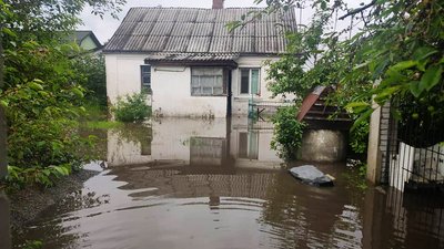 Житомир після кількох злив – жителі приватного сектору говорять, що лишаться без урожаю Житомир після кількох злив – жителі приватного сектору говорять, що лишаться без урожаю