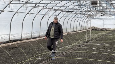 гранти, сади, теплиці