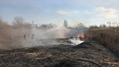 В Миколаєві рятувальники двічі за добу гасили пожежі очерету загальною площею 700 кв. м В Миколаєві рятувальники двічі за добу гасили пожежі очерету загальною площею 700 кв. м