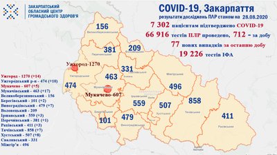 За добу на Закарпатті виявлено 77 нових випадків COVID-19 За добу на Закарпатті виявлено 77 нових випадків COVID-19
