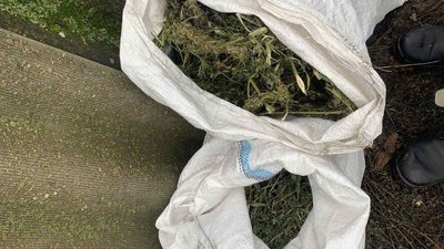 На Черкащині виявили чотири мішки коноплі На Черкащині виявили чотири мішки коноплі
