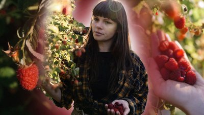 житомир, малина, догляд, садівниця, Ніна Панасюк, 18 листопада 2025 року