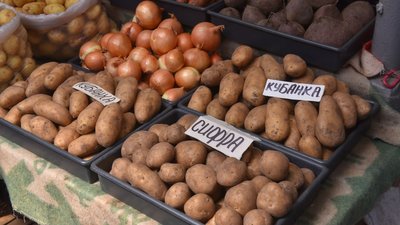 Подорожчає картопля та зернові. Експерт спрогнозував ціни на продукти для українців