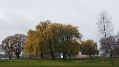 Парк Молодіжний у Хмельницькому