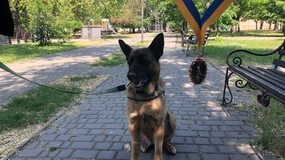 фототиждень
