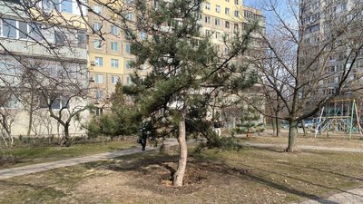 Дніпряни вийшли на протест, аби зберегти зелену зону від забудови Дніпряни вийшли на протест, аби зберегти зелену зону від забудови