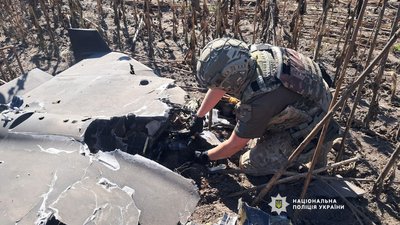 Вибухотехніки знешкодили російський БпЛА на Чернігівщині