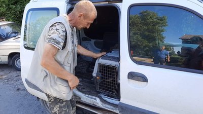 Сергій Пальохін спіймав мавпу й відвіз її до ветеринарного шпиталю, 3 серпня 2023. Сергій Пальохін спіймав мавпу й відвіз її до ветеринарного шпиталю, 3 серпня 2023.