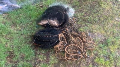 У заказнику на Волині спіймали рибалок із забороненими снастями. Їх оштрафують У заказнику на Волині спіймали рибалок із забороненими снастями. Їх оштрафують