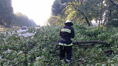 Підтоплення та повалені дерева. Наслідки негоди на Вінниччині