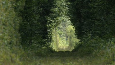 Бурштинові місця – для туристів. Що готують на Рівненщині і чому чекають китайців Бурштинові місця – для туристів. Що готують на Рівненщині і чому чекають китайців