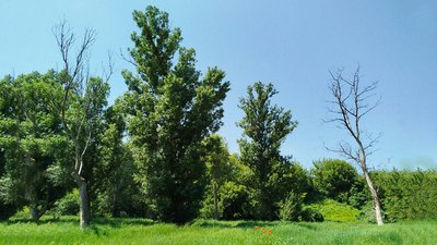 Мікрорайон Нова Балашівка, Кропивницький