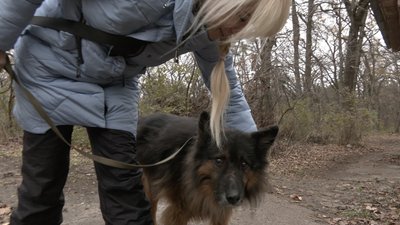 хатіко з че хатіко з че