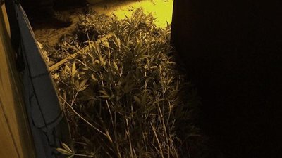 У жителя Кіровоградської області поліцейські вилучили зброю та наркотики У жителя Кіровоградської області поліцейські вилучили зброю та наркотики