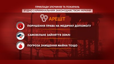 Графіка: приклади злочинів, за які можуть притягнути до арешту Графіка: приклади злочинів, за які можуть притягнути до арешту
