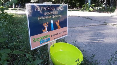 На вулицях Кропивницького встановлюють поїлки для вуличних тварин
