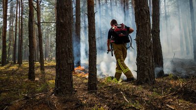 Чорнобильська зона пожежа в лісі
