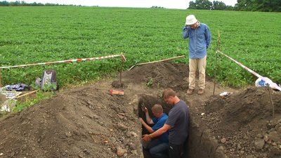 За словами Петра Болтанюка, це поле – сільськогосподарські угіддя, і під тиском техніки кераміка не могла залишитись цілою. Фото: Суспільне. Поділля. За словами Петра Болтанюка, це поле – сільськогосподарські угіддя, і під тиском техніки кераміка не могла залишитись цілою. Фото: Суспільне. Поділля.
