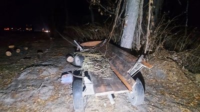 На Житомирщині у ДТП загинув водій гужової повозки
