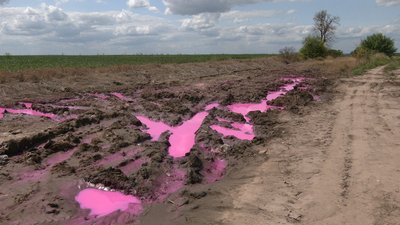 Рожеві калюжі біля Рівного: у поліції відкрили кримінальне провадження
