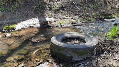 Толока на Дьогтянці: у Вінниці прибирали берег малої річки Толока на Дьогтянці: у Вінниці прибирали берег малої річки