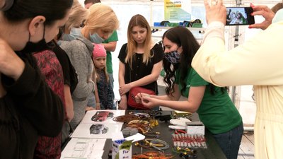 Підприємство "Карпати" презентувало професії на ярмарку вакансій Підприємство "Карпати" презентувало професії на ярмарку вакансій