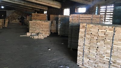 На Житомирщині викрили схему незаконного експорту оптових партій пиломатеріалів з дубу