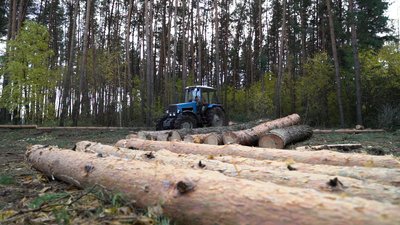 На Полтавщині заготовляють дрова та деревину для військових На Полтавщині заготовляють дрова та деревину для військових