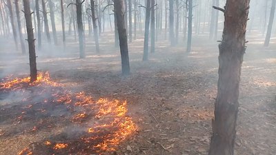 Обстріли російськими військами спричинили п’ять пожеж на Миколаївщині протягом доби Обстріли російськими військами спричинили п’ять пожеж на Миколаївщині протягом доби