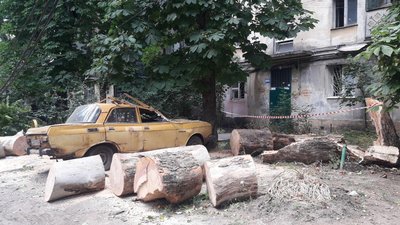 Травмовані люди, підтоплені домівки та повалені дерева: наслідки негоди на Одещині Травмовані люди, підтоплені домівки та повалені дерева: наслідки негоди на Одещині