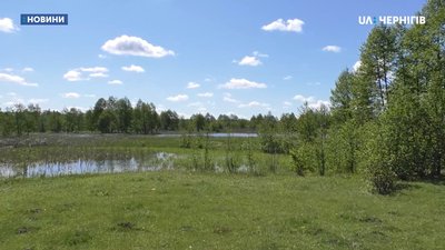 Жителі Седнева протестують, бо частину місцевого пасовища передано у приватну власність Жителі Седнева протестують, бо частину місцевого пасовища передано у приватну власність