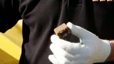 На Рівненщині скидають з літака вакцини проти сказу. Людей просять їх не чіпати На Рівненщині скидають з літака вакцини проти сказу. Людей просять їх не чіпати