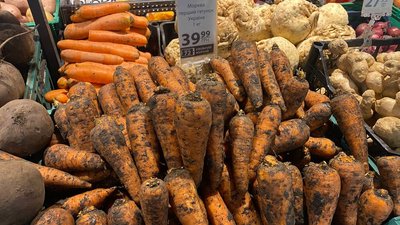 Овочі здорожчали на 34% за рік: які причини та скільки коштує городина на прилавках Дніпра Овочі здорожчали на 34% за рік: які причини та скільки коштує городина на прилавках Дніпра