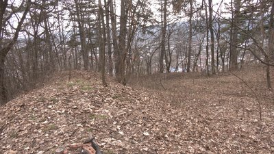 На Прикарпатті розкопали ймовірне поховання часів Першої світової війни На Прикарпатті розкопали ймовірне поховання часів Першої світової війни