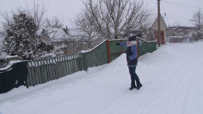 злі пси злі пси