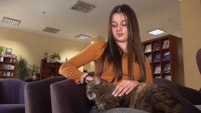 У Тернополі в бібліотеці живе кішка Принцеса У Тернополі в бібліотеці живе кішка Принцеса