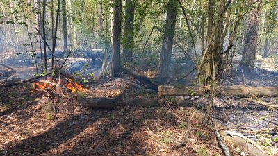 Російські війська знову обстріляли територію Чернігівщини Російські війська знову обстріляли територію Чернігівщини