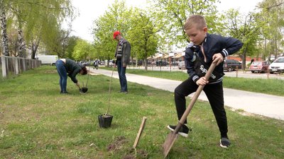 250 дерев висадили одночасно у 25 локаціях міста: у Чернігові пройшла акція з озеленення