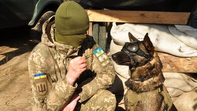 2024 рік у кадрі: знакові моменти на Миколаївщині — фотодобірка