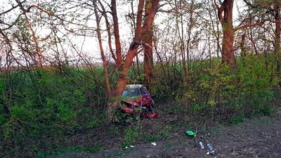 25-річна водійка іномарки, не впоравшись з керуванням, з'їхала у кювет та зіткнулася із деревом. Фото: ГУ Нацполіції у Хмельницькій області. 25-річна водійка іномарки, не впоравшись з керуванням, з'їхала у кювет та зіткнулася із деревом. Фото: ГУ Нацполіції у Хмельницькій області.